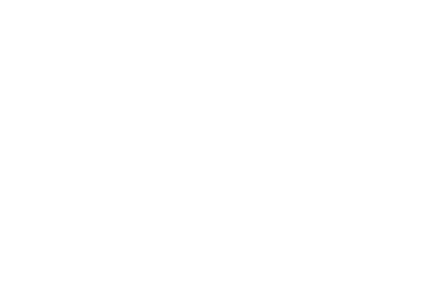 Skater